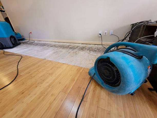 Reliable Basement Flood Cleanup contractor in Coarsegold, CA by Hirex Water Damage
