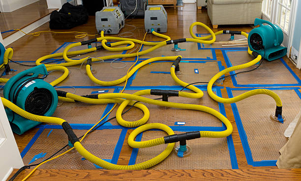 Professional Basement Flood Cleanup technician working in Coarsegold, CA